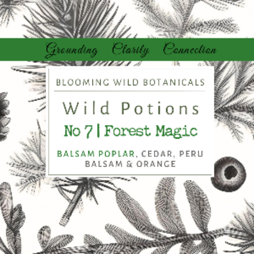 Forest Magic Roller - Potion No 7