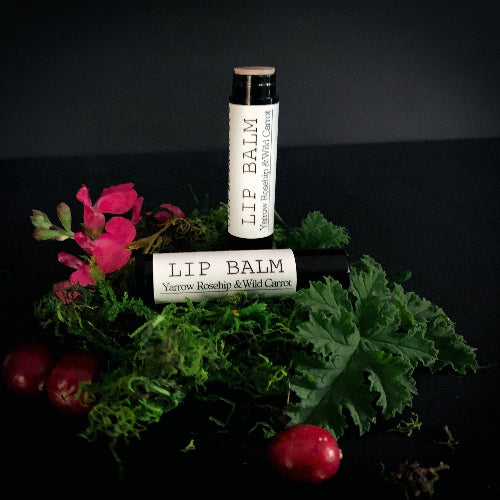 Lip Balm, Yarrow Rosehip & Wild Carrot